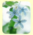 ���Ȃ�搶�ʐ^